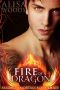 [Fallen Immortals 03] • Fire of a Dragon (Fallen Immortals 3) - Paranormal Fairytale Romance